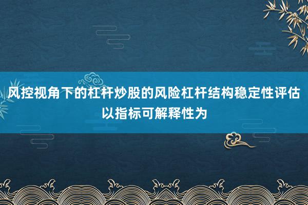 风控视角下的杠杆炒股的风险杠杆结构稳定性评估以指标可解释性为
