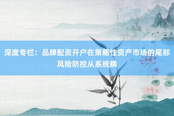 深度专栏：品牌配资开户在策略性资产市场的尾部风险防控从系统耦