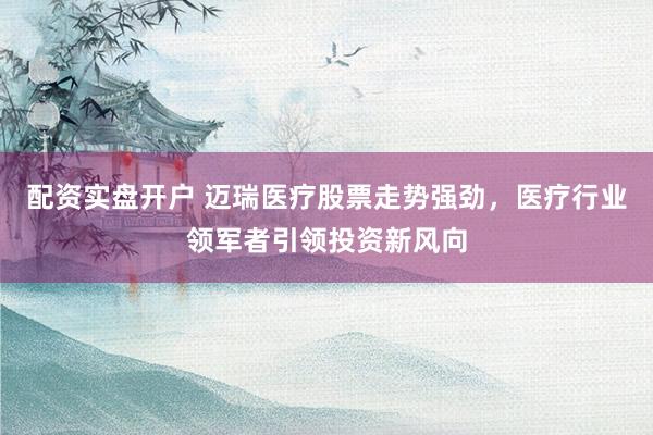 配资实盘开户 迈瑞医疗股票走势强劲，医疗行业领军者引领投资新风向